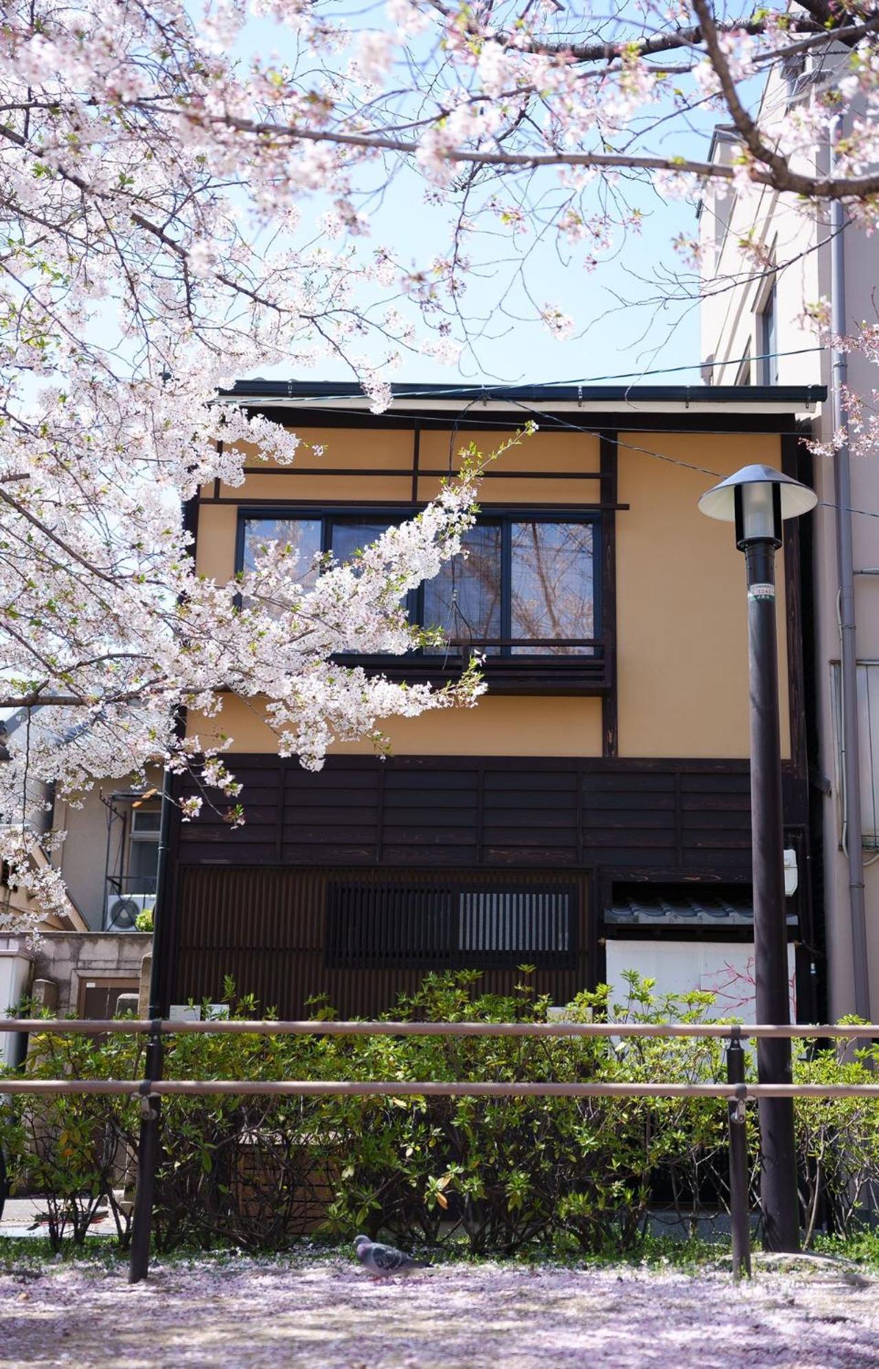 Konayuki Inn Machiya 粉雪の宿 5Min Walk From Kyoto St エクステリア 写真